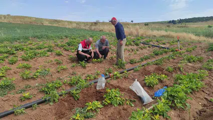 Tarımsal Veriler Dijital Ortamda Yerinde Doğrulanıyor