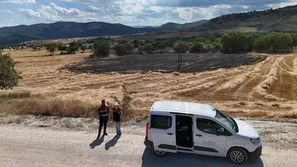 Yangınlarda Zarar Gören Arazilerde İnceleme