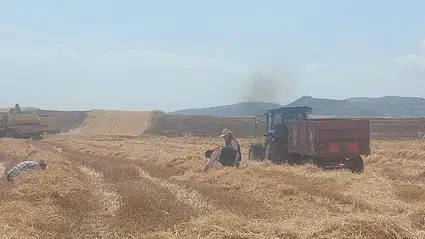 ‘Dane Kaybına Yer Yok’