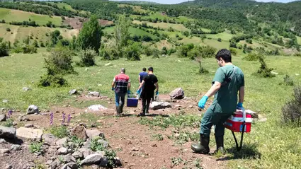 İskilip’te Bitkisel ve Hayvansal Üretim Yerinde İncelendi