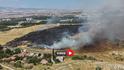 40 Dönüm Alan Zarar Gördü