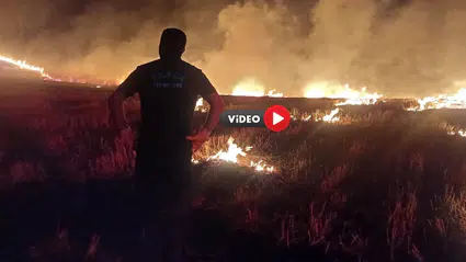 Arazide Örtü Yangını Çıktı