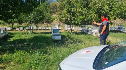 Arıcıların Beyan Ettiği Kovanlar Yerinde Tek Tek İnceleniyor
