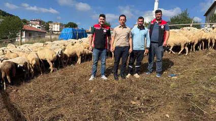 Üreticilere Sürü Yönetimi ve Hijyen Eğitimi
