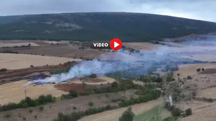 Anız Yakarken Dronla Görüntülenendi: Cezadan Kaçamadı