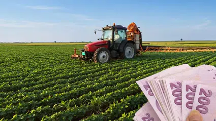 Çifçilerin yüzü gülecek! Buğday ve arpada rekor kazanç beklentisi