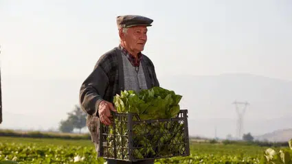 Çiftçileri İlgilendiren Gelişme!