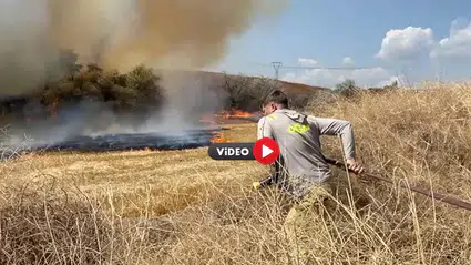 Ağaçlık Alanda Yangın Paniği