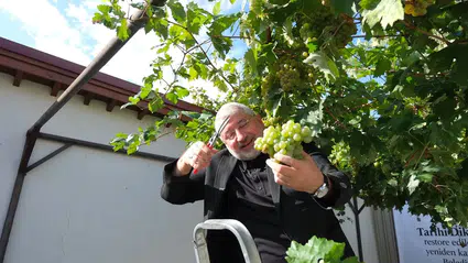 Dünyanın En Dar Arastasında Hasat Vakti