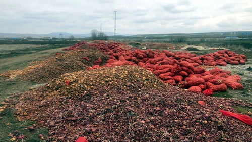 Çorum’da Soğan Atıkları İçin Yeni Düzenleme