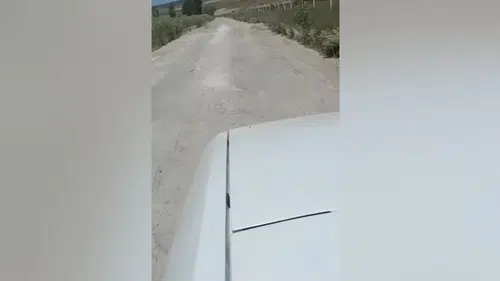 ‘Bu Yüzyıla Yakışmıyor’