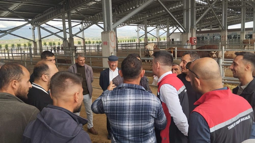 Hayvan Nakillerine Sıkı Denetim