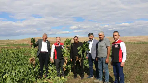 Hasat ve Depolamaya Yerinde İnceleme