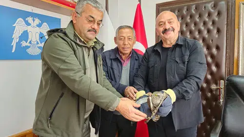 Yaralı Atmaca’ya Yardım Eli
