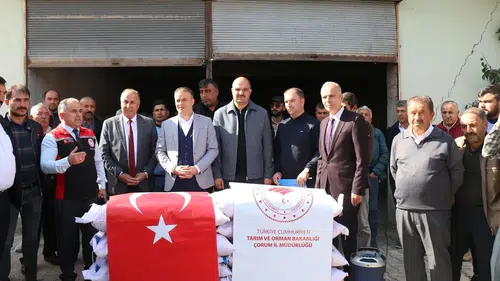 213 Çiftçiye Arpa Tohumu Desteği