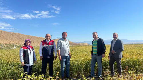 Çeltik Tarlaları Denetlendi