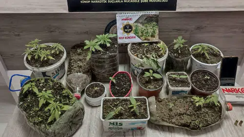 Sinop'ta uyuşturucu operasyonunda yakalanan zanlı tutuklandı