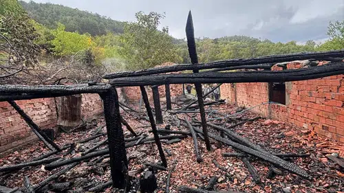 Yanan Ahırdaki 30 Hayvan Telef Oldu