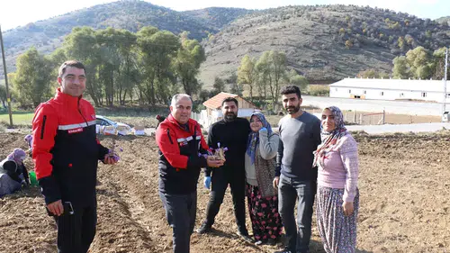 Safran Ekimi Yaygınlaşıyor