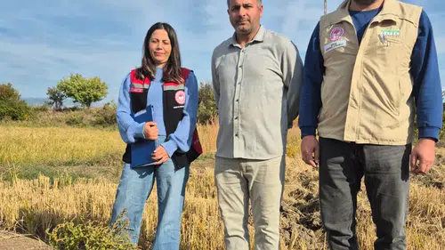 Çeltik Hasadında Biçerdöver Denetimleri