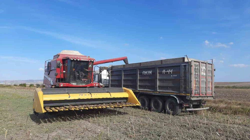 Bandırma Merinos’ta ayçiçeği hasadı tamamlandı
