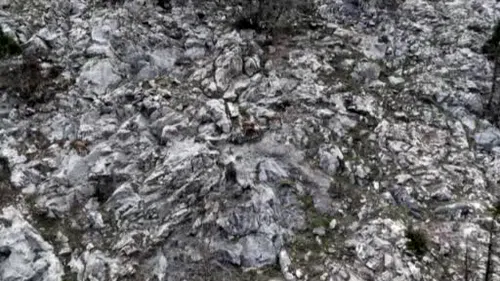 Pozantı’da yaban keçileri görüntülendi