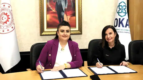 Gençler, Profesyoneller ile Bir Araya Gelecek