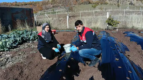 Oğuzlar’da Çilek Üretimini Çeşitlendirme Adımı
