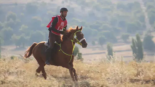 Ulusal Atlı Dayanıklılık Yarışmaları Bu Hafta Sonu