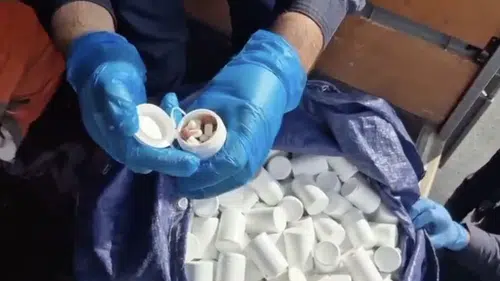 736 Bin 217 Uyuşturucu Hap Ele Geçirildi