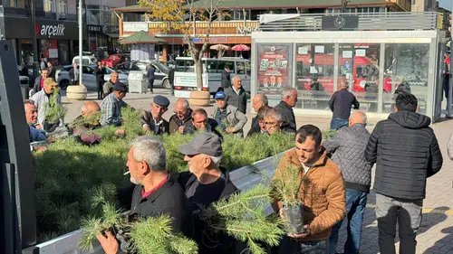 Alaca Belediyesi Fidan Dağıttı