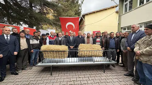 İskilip’te Çiftçilere Yemlik ve Otluk Dağıtıldı