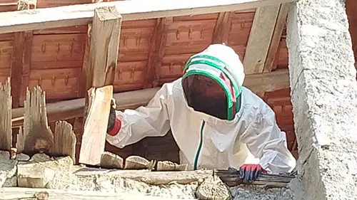 Evin Çatısına Yuva Yapan Eşek Arıları Hastanelik Etti