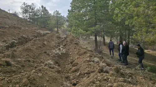 55 Dönümlük ‘Bal Ormanı’ Kuruluyor