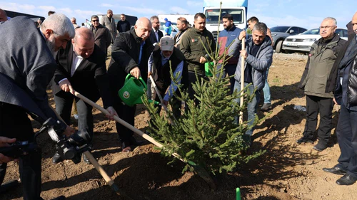 Arnavutköy’de Gazze için 10 bin fidan dikildi