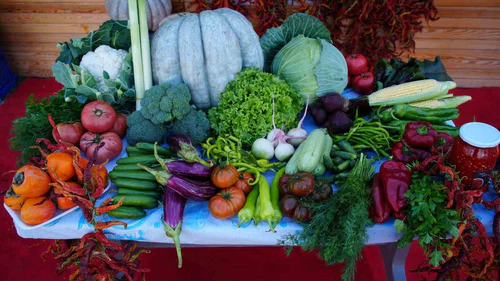 Edirneli üreticiler ata tohumundan ürettikleri ürünleri Millet Bahçesi’nde satışa sunuyor