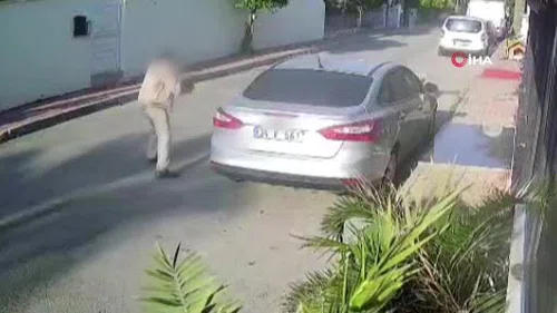 Köpeği silahla vuran emekli polis için 4 yıla kadar hapis talebi