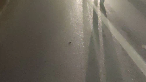 Otomobil ile motosiklet çarpıştı: 1’i ağır 2 yaralı