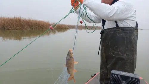 Çorum Barajlarında Doğal Yaşama Sıkı Koruma