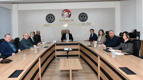 Çorum’u ‘Değirmen Üssü’ Yapacak Çalışma