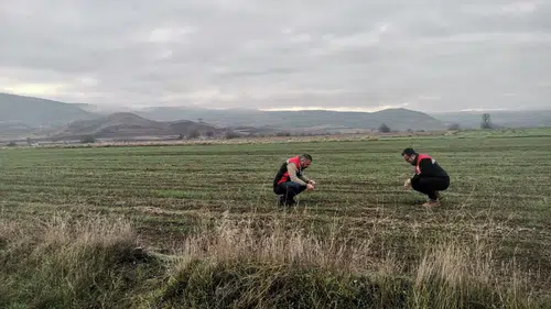 Osmancık’ta Hububat Alanları Teknik İncelemeye Alındı