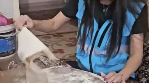 Alaca Yurdundan Gönüllüler Gününde Anlamlı Ziyaret