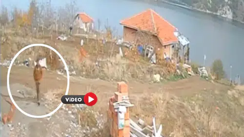 Barajda Ölü Bulunmuştu, Son Anları Ortaya Çıktı