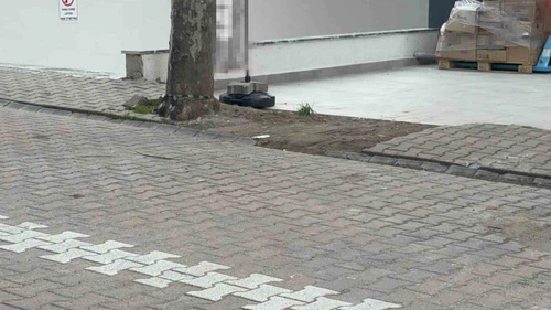 Çöpe atmak için yerden aldığı kargo poşetinin içinden 60 bin dolar çıktı