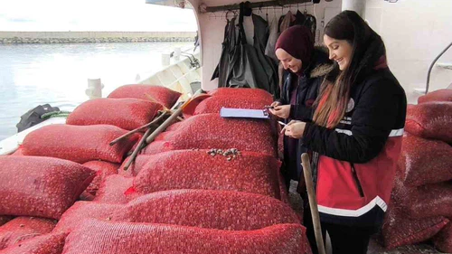 Kastamonu’da beyaz kum midyesi denetimi