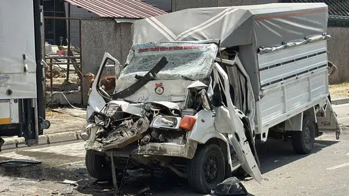 Samsun'da tırla çarpışan canlı hayvan yüklü kamyonetin sürücüsü yaralandı