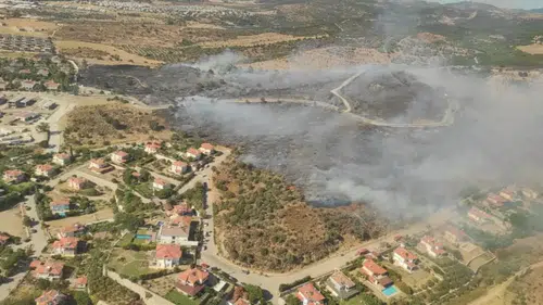 Bodrum'da makilik ve otluk alanda çıkan yangına müdahale ediliyor