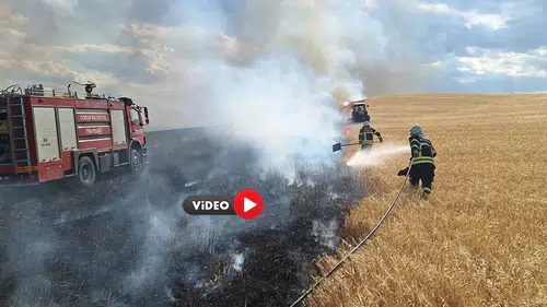 120 Dekar Buğday Tarlası Küle Döndü