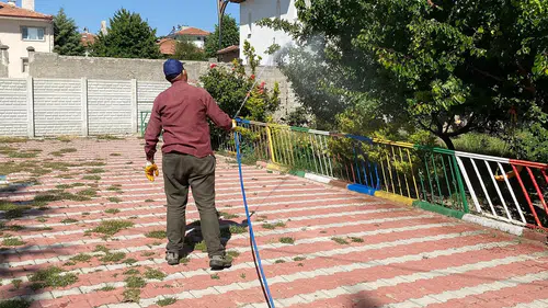 Sivrisinek ve Haşerelere Karşı İlaçlama Çalışmaları