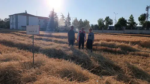 Deneme Başarıyla Sonuçlandı